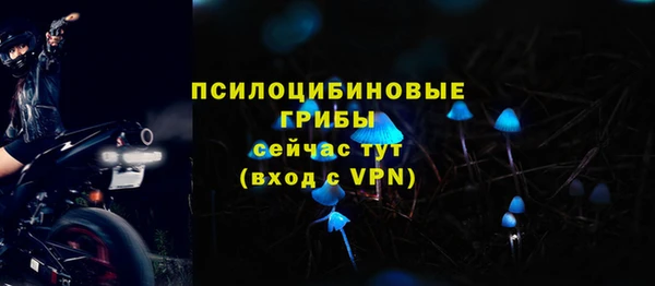 прущие крисы Магас