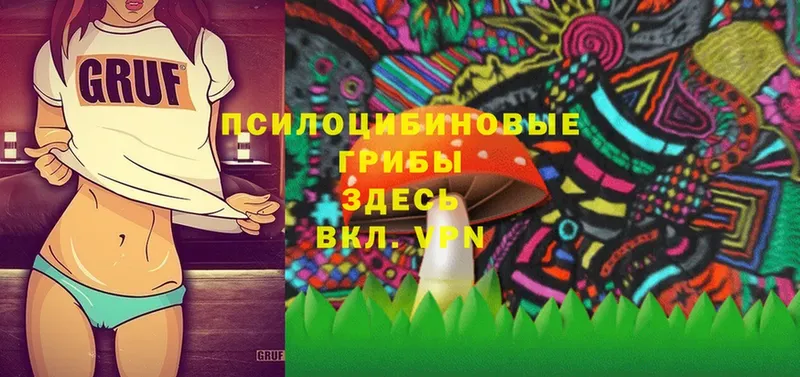 Псилоцибиновые грибы мицелий  Иннополис 