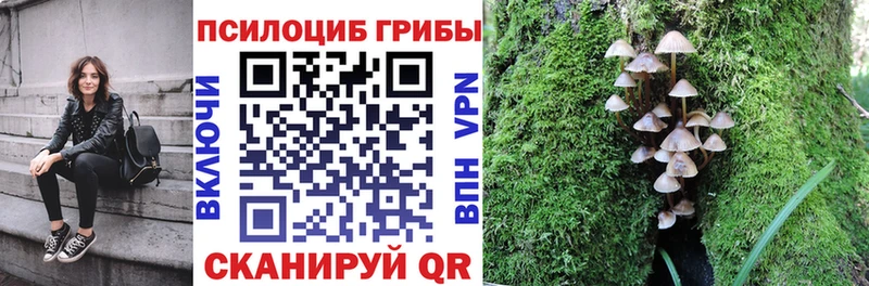 Псилоцибиновые грибы мицелий  блэк спрут   Иннополис 